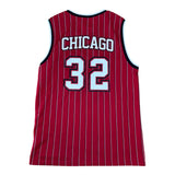 Tenth Chicago Bulls No.23 Basketball Jersey (12yrs)