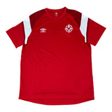 Umbro Croi Ro Naofa GAA 2020s Home Jersey BNWT (XL)