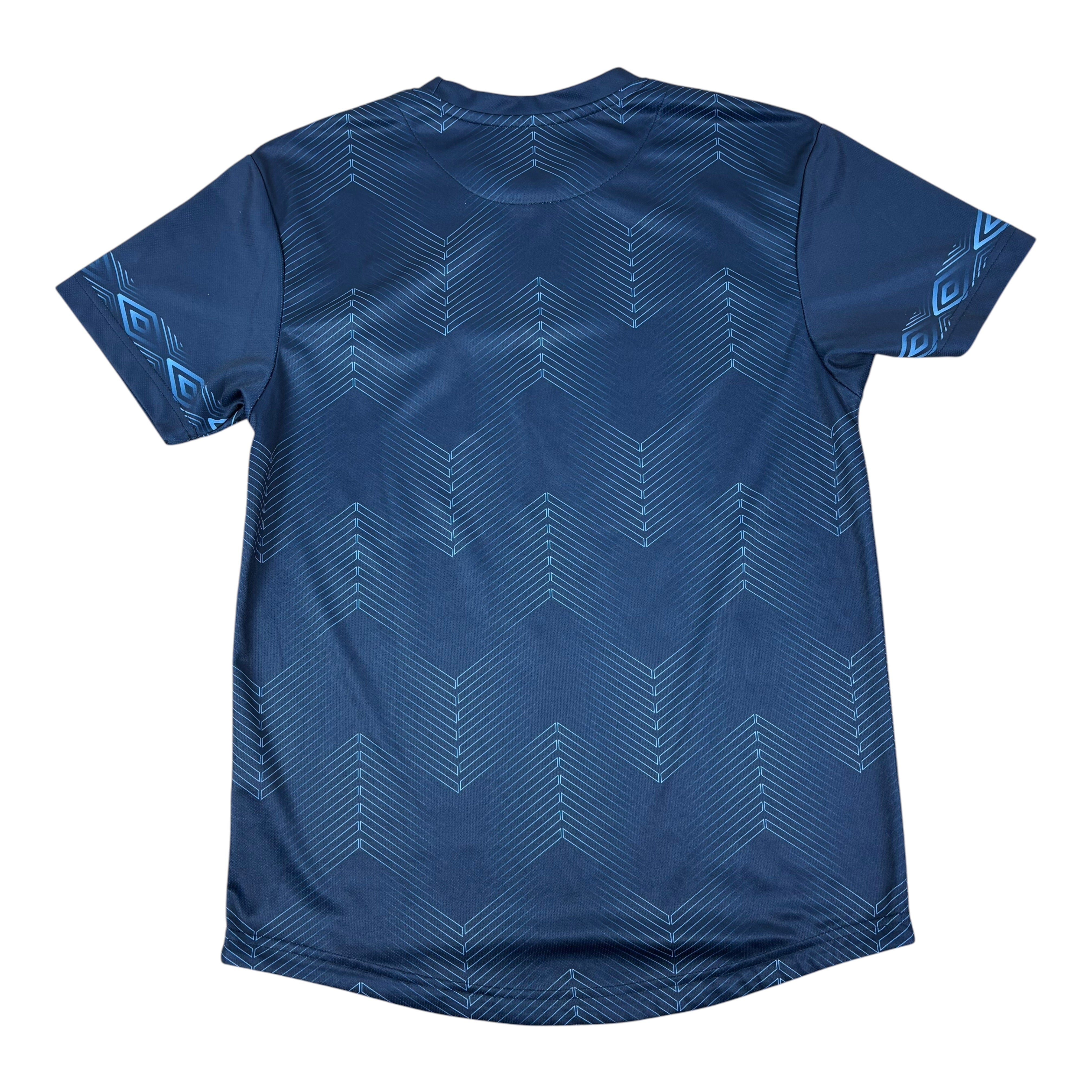 Umbro Salthill Devon 2023/24 Training Jersey (M)