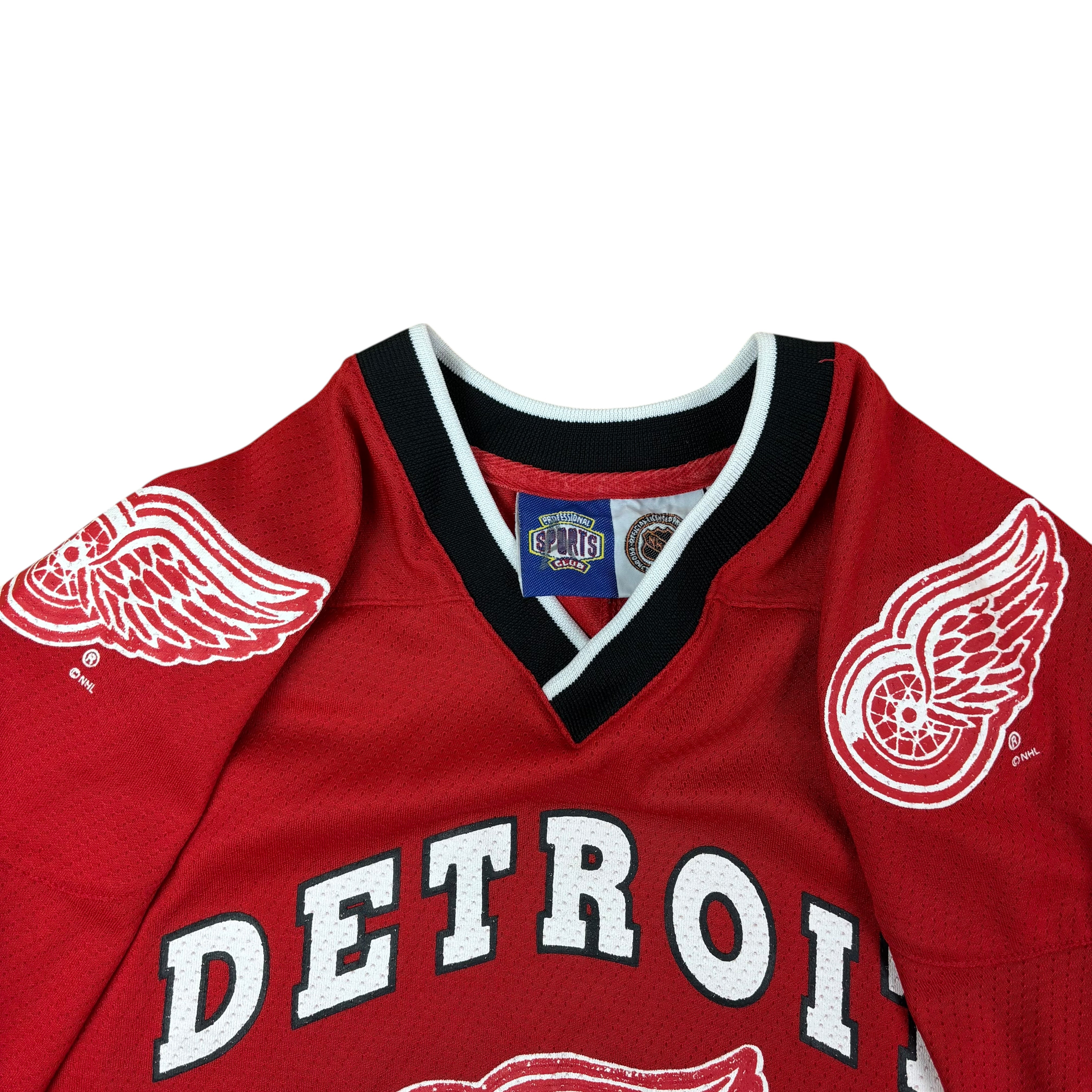 NHL Detroit Red Wings Y2K Reworked Cropped Jersey (Women’s M)