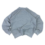 Gildan Y2K Washington DC USA Sweater (Women’s S)