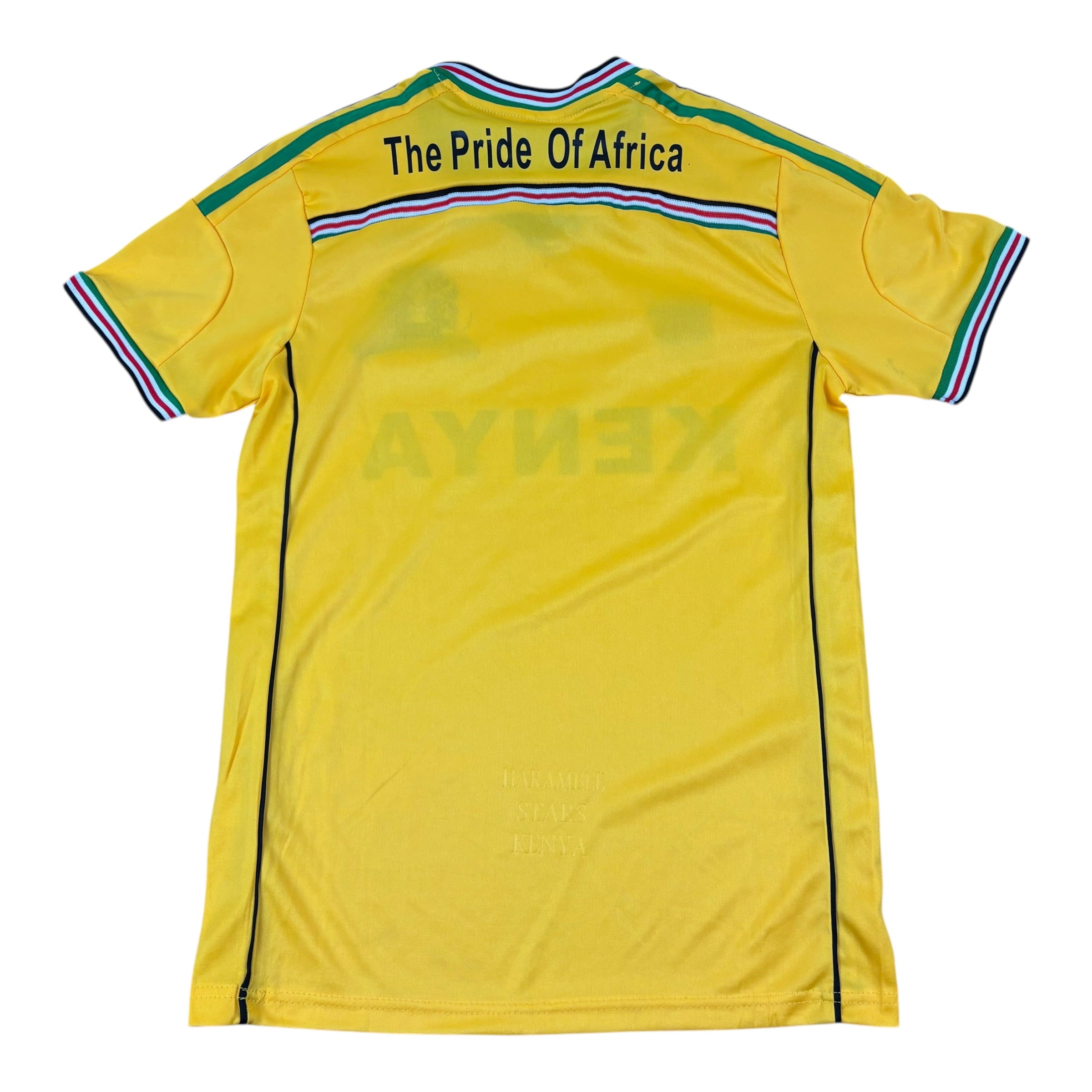 Sport Kenya National Team Retro Home Jersey (Women’s L)