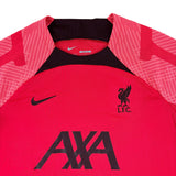 Nike Liverpool FC 2022/23 Pre-Match Training Jersey (L)