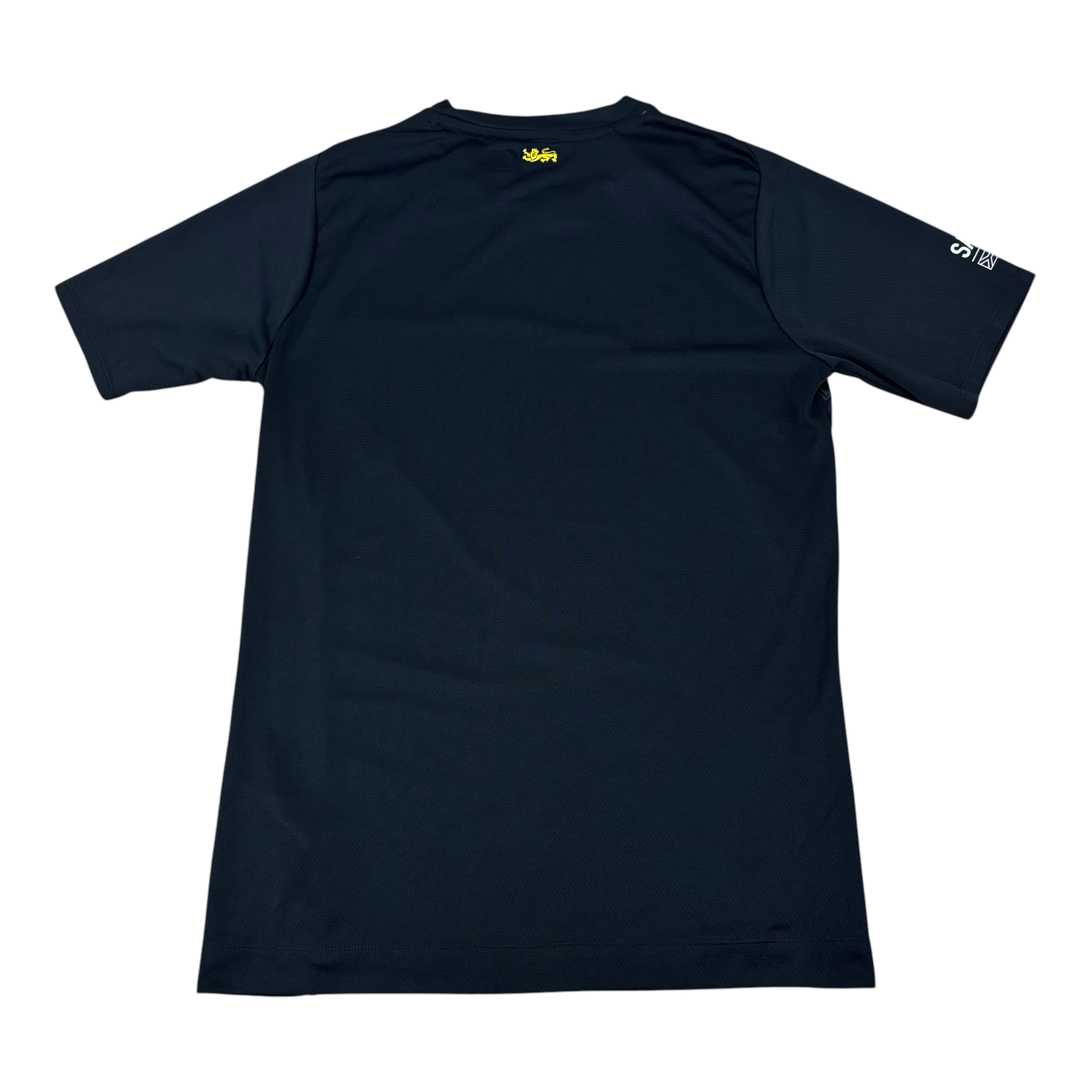 Canterbury British-Irish Lions Rugby 2021 Training Jersey (L)