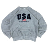 Gildan Y2K Washington DC USA Sweater (Women’s S)