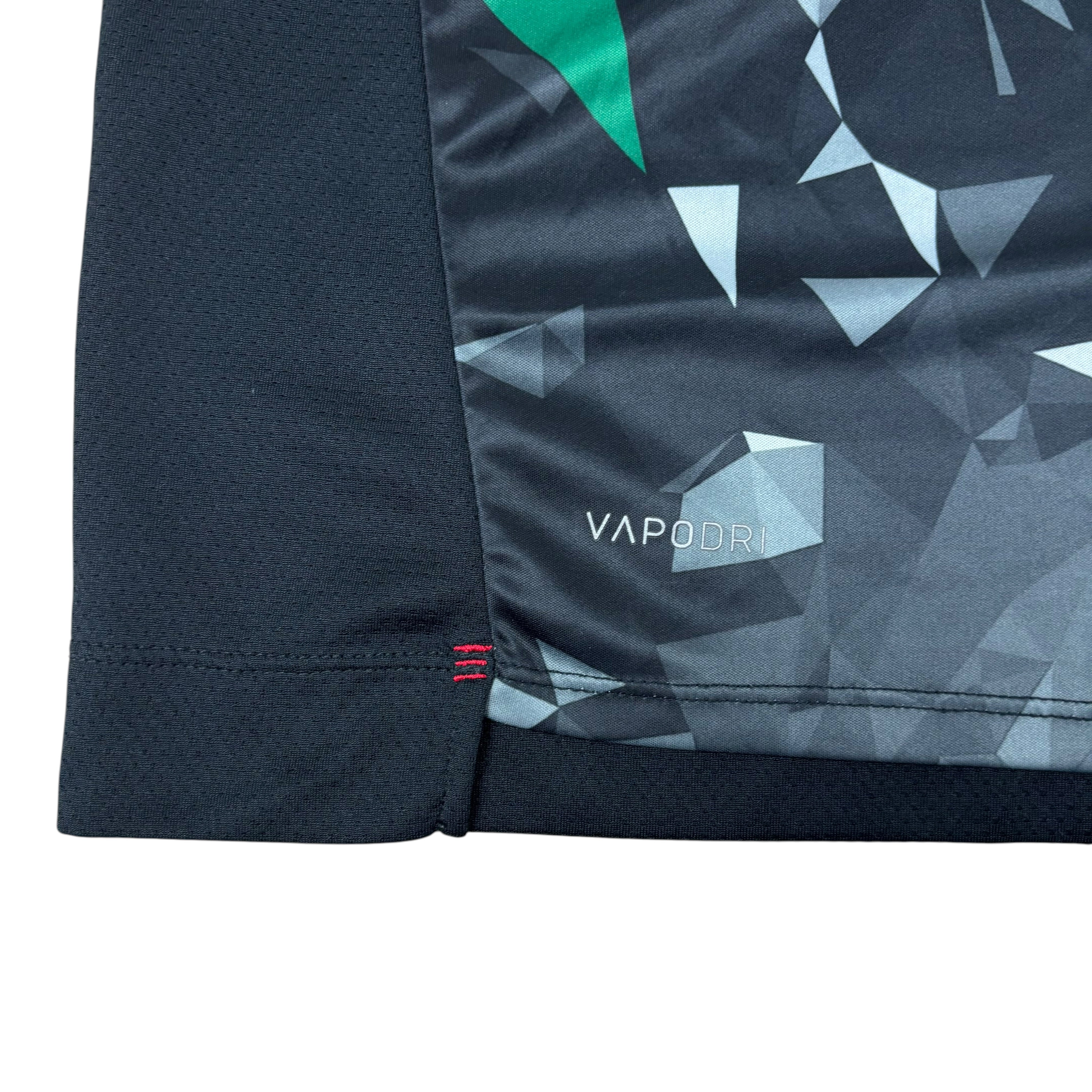 Canterbury British-Irish Lions Rugby 2021 Training Jersey (L)