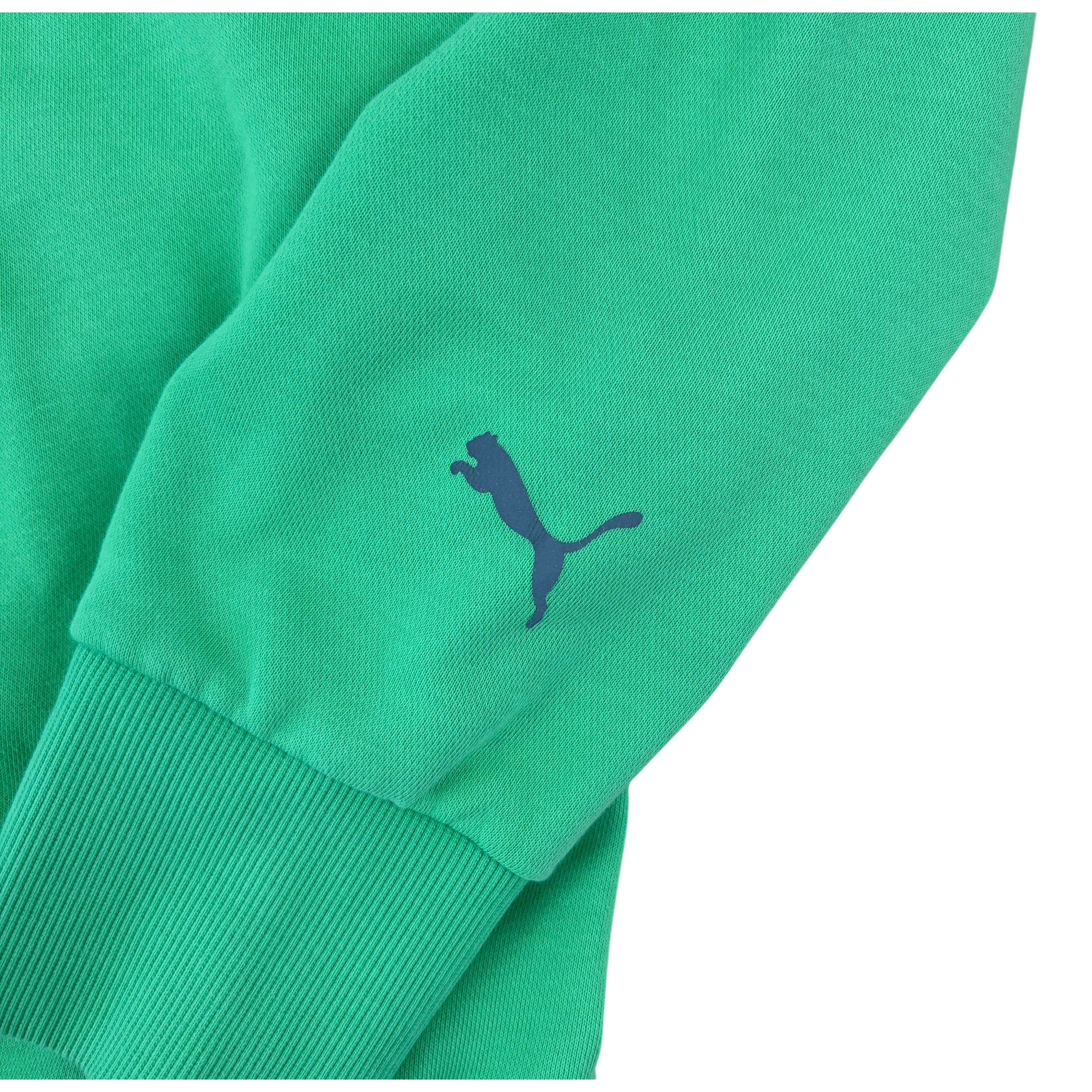 Puma F1 Mercedes AMG Petronas Motorsports 2020 Graphic Hoodie (S)