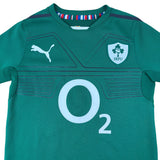 Puma IRFU Ireland Rugby 2013/14 Home Jersey (XS)