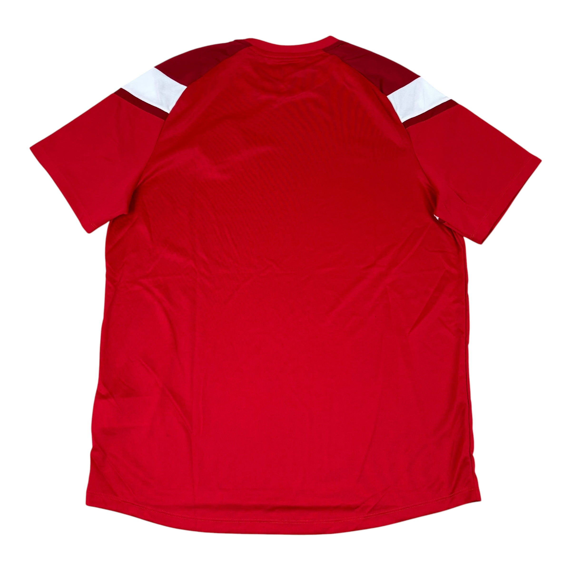 Umbro Croi Ro Naofa GAA 2020s Home Jersey BNWT (XL)