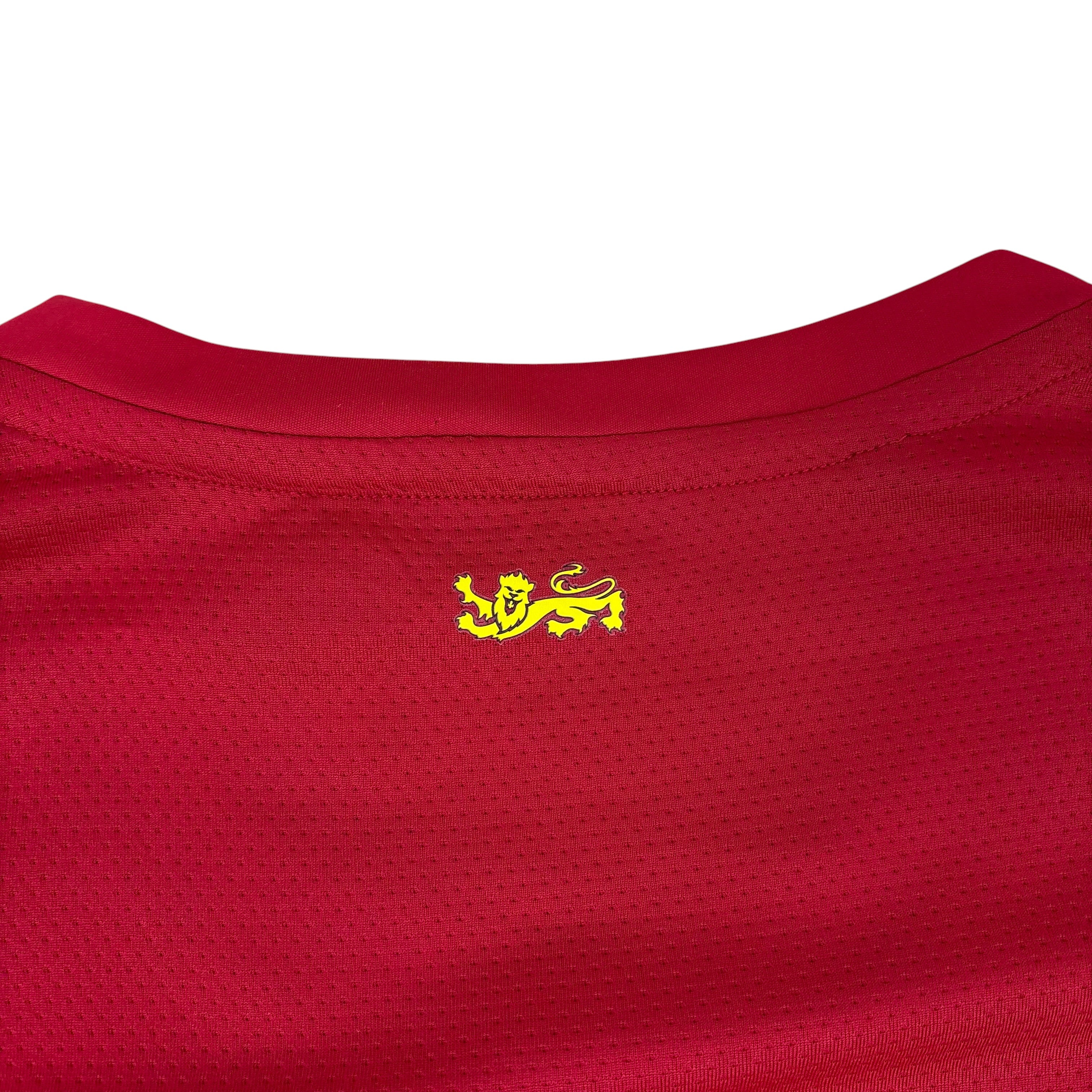 Canterbury British-Irish Lions 2021 Training Jersey (3XL)
