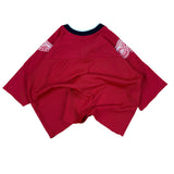 NHL Detroit Red Wings Y2K Reworked Cropped Jersey (Women’s M)