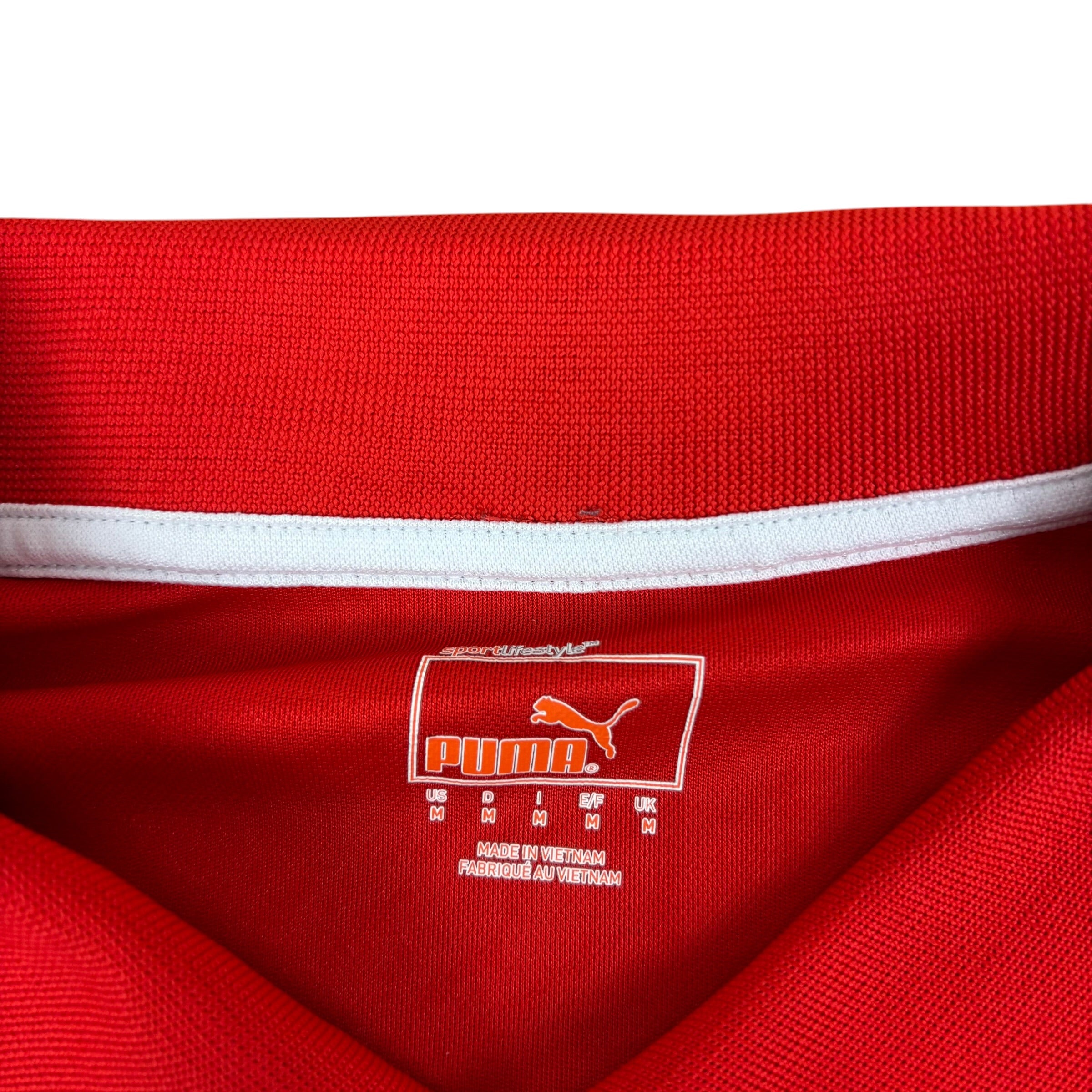 Puma FV Ülkemspor Kitzingen 2013/14 Training Jersey (M)