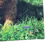 O’Neills Plough Championship “Fur-Ever Friend” Jersey (9-10yrs)