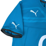 Puma IRFU Ireland Rugby 2013/14 Training Jersey (M)