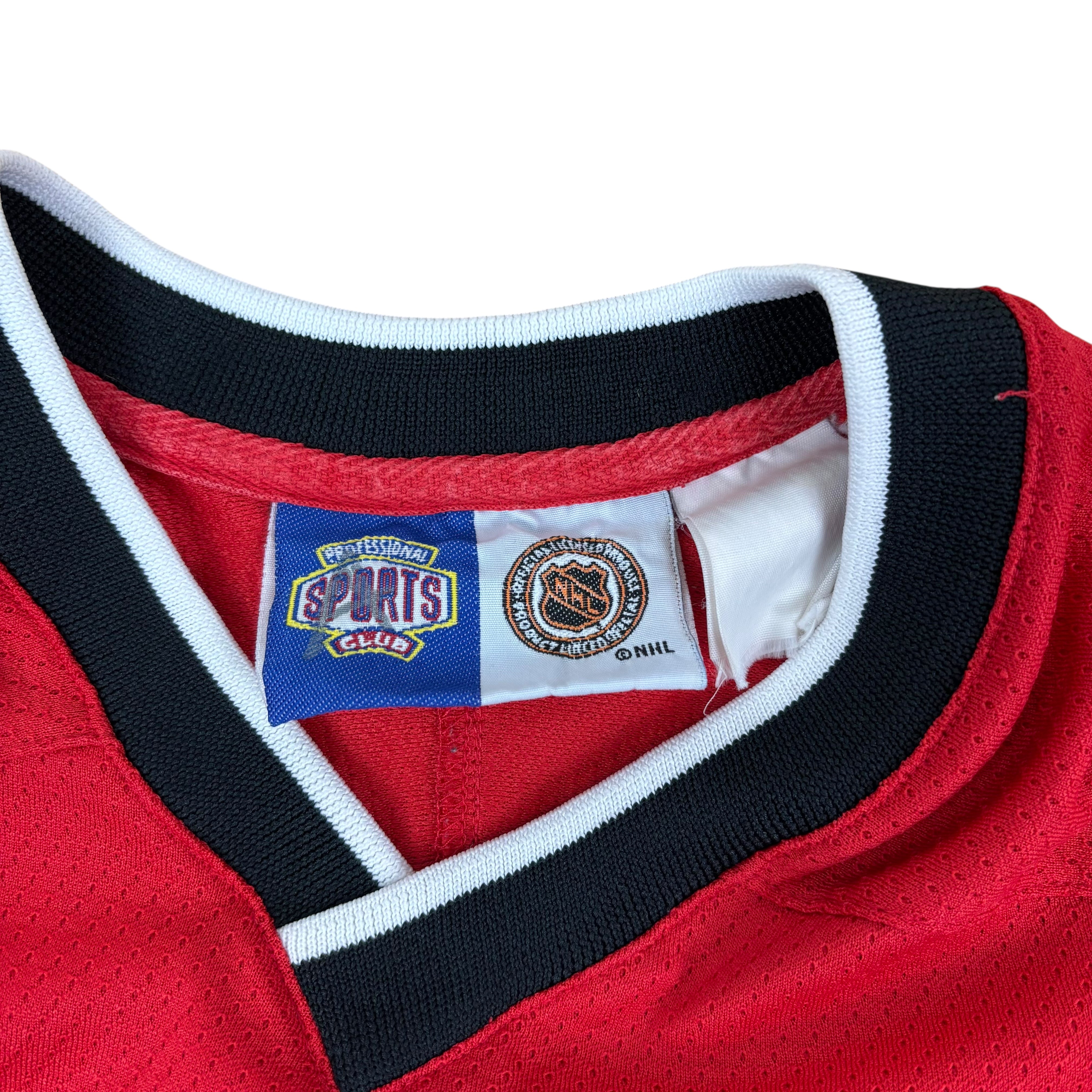 NHL Detroit Red Wings Y2K Reworked Cropped Jersey (Women’s M)