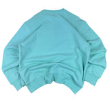 Champion Teal Varsity Sweater BNWT (L)