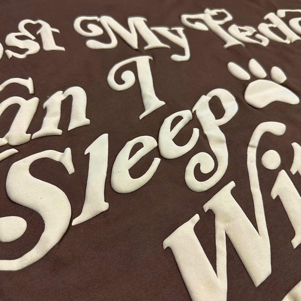 Peeco Lost Teddy Heavyweight Oversized Tee (Chocolate)