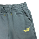 Puma King Grey Cotton Shorts (S)