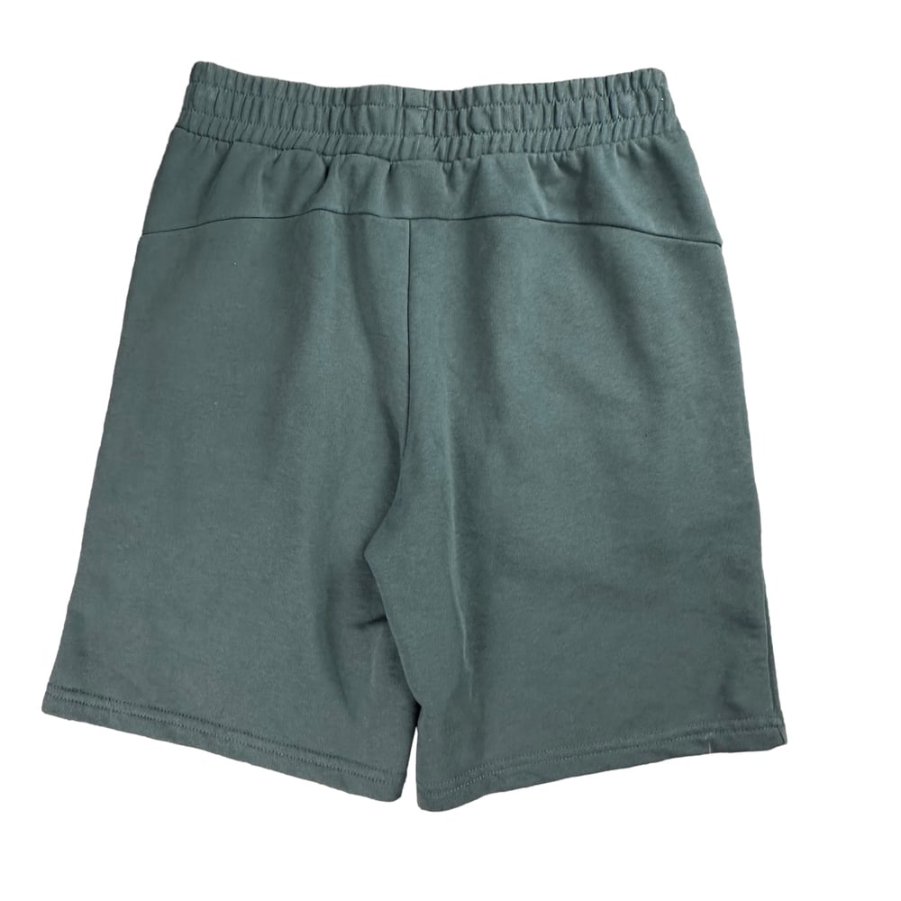 Puma King Grey Cotton Shorts (S)